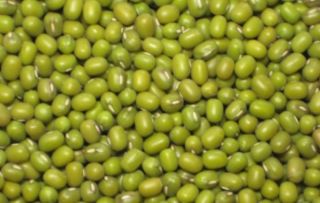 Organic Green Mung DAL Bean Green Gram Moong Munggo Vigna Radiata 