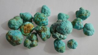 16 Natural Turquoise Nodules Battle Mountain NV 24 GR Powder Blue 7 