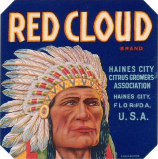 Red Cloud Citrus Crate Label Haines City, Florida