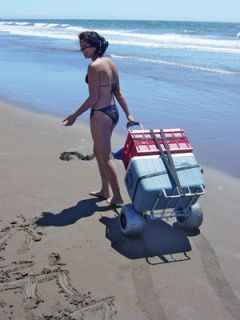 Wheeleez Folding Beach Cart Balloon Tires for Soft Sand  165 Lb Load 