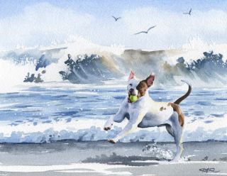PIT BULL AT THE BEACH Watercolor ART NOTE CARDS by Artist DJR