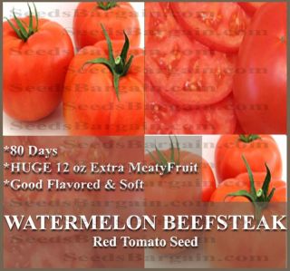 Tomato Seeds BST Watermelon Beefsteak Heirloom