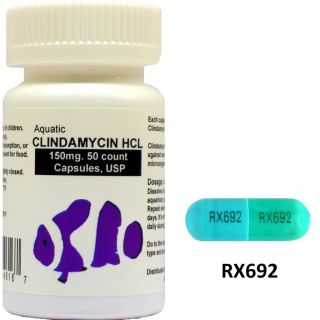 aquatic clindamycin 150mg 50 count usp antibiotic  21 99 