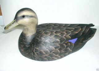 Wooden Magnum Blackduck Duck Decoy New