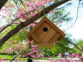 New All Cedar Wren Houses Bird House Nest Birdhouse