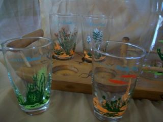 blakely oil arizona cactus 8 glasses pitcher tray