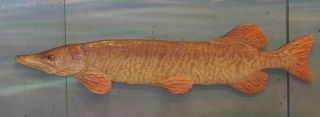 Chainsaw Carving Tiger Muskallunge Carved Muskie Pike Sportfish Sport 