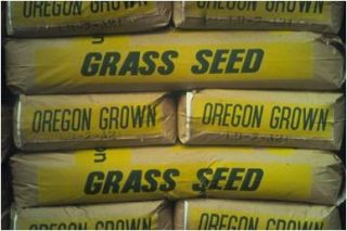 90 Kentucky Bluegrass 10 Perennial Rye Grass Lawn Turf Seed 5 lb Bag 