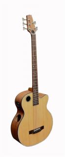 Boulder Creek EBR3 N5F Acoustic/Electric Fretless 5 String Bass