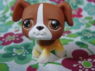 Littlest Pet Shop LPS #25 Brown & White Boxer dog w Brown Eyes