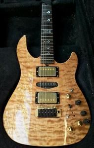 Brian Moore Custom Guitar C90P 13