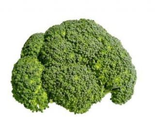 Bulk Freeze Dried Broccoli Florets Long Term Storable Survival Camping 