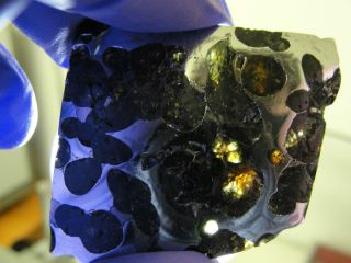Brenham Pallasite Meteorite 22G Part Slice Diamond Saw Cut Hand Polish 