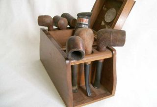 Old Tobacco Pipes In Walnut Wooden Stand Case Various Brigham