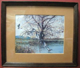 Eight Mallard Ducks by Bruce Johnson Framed Mini Print
