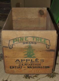 Vintage Pine Tree Brand Apples Wood Shipping Crate Entiat Washington 