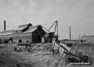 Williams Sons Sawmill Buildings Carteret NJ Photo Pic
