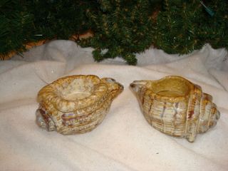 sea shell candle holders 2  6 99