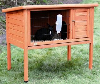  Small Animal Enclosure Hutch for Guinea Pig Bunny Rabbit Cage