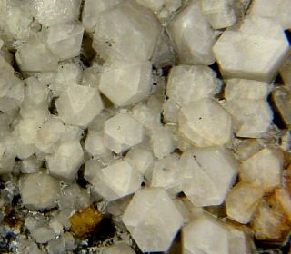 White POKER CHIP CALCITE Crystals Massachusetts