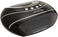   Sharper Image EC B130 AM/FM Clock Radio with Time and Weather Butler