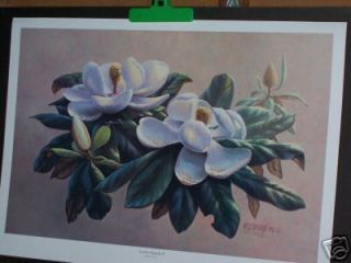  Another Magnolia II by R C Davis
