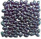 Black Beans 10 Can Survival Emergency Food