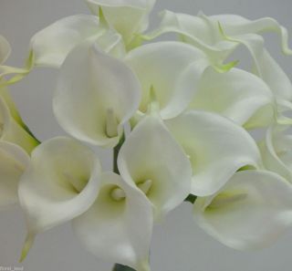   Flowers Cream Ivory Bouquets Calla Lily Wedding Bouquet 18 Head