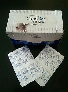 Capstar for Dogs Cats UNDER 25 lbs 12 tablets