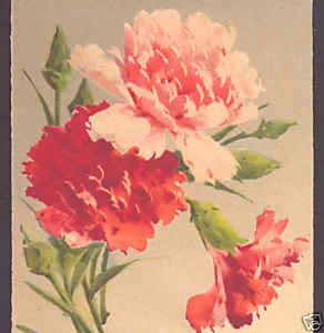 Klein Birthday Peach Pink Carnation Flower Old Postcard