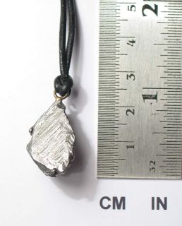 Meteorite Campo Del Cielo Pendant 54 0 Ct New with Leather Thong 