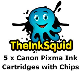 Compatible Canon PIXMA Printer Ink Cartridges 1 000s Sold Free 1st 