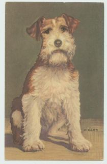 012010 A/S CARR VINTAGE DOG POSTCARD WIRE HAIRED FOX TERRIER