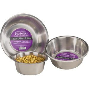   Matte Stainless Steel Pet Bowls Dog Cat Food Water Dishes