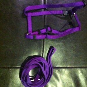 Cat or Small Dog Harness and Leash Great Condition