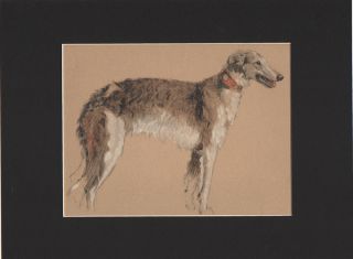 Borzoi Dog 1934 Matted Print by Cecil Aldin 9x12