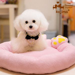 Pet Product Supplies Pet Dog Cat Bed Sofa House Cushion Mat Warm Soft 