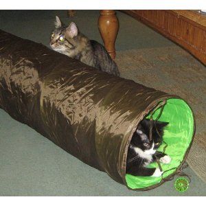 Cat Tunnel Collapsible Pet Kitten Play 53 L with A Toy