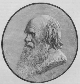 Portraits Charles Darwin 1890 Antique Engraving