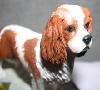 Cavalier King Charles Spaniel Made in England Dog