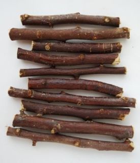   Healthy Treat Premium Organic Apple Wood Chew Sticks 1 8 Lb