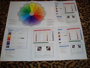 Chi Ionic Perm Shine Hair Color Chart Wall Chart Featuring Color Wheel 