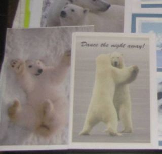   Animals Cards Greeting Christmas Birthday Blank Scrapbook Lot