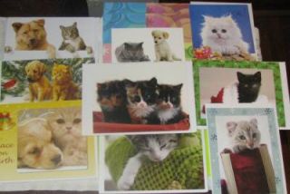 28 Unused Cat Cards Greeting Christmas Birthday Get Well Blank or 