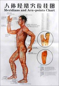 Chinese English Body Meridians Acupuncture Ponits Chart