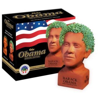 chia obama handmade decorative planter determined pose