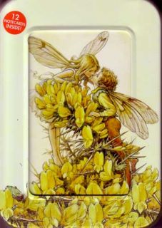 Cicely Mary Barker Fairy Notecards Fairy Romance Yellow