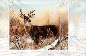 16 Boxed Embossed Christmas Cards Whitetail Deer Buck Hunting