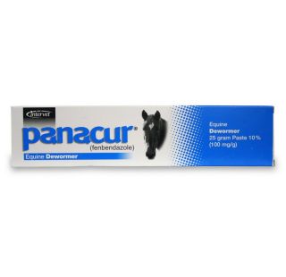 Intervet 016002 25g Panacur Equine Dewormer 25 Gram Paste 10 Percent 