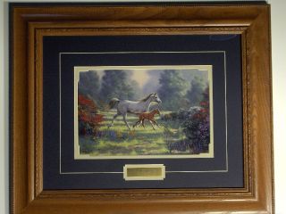 vendio gallery now free derk hansen framed horse colt print